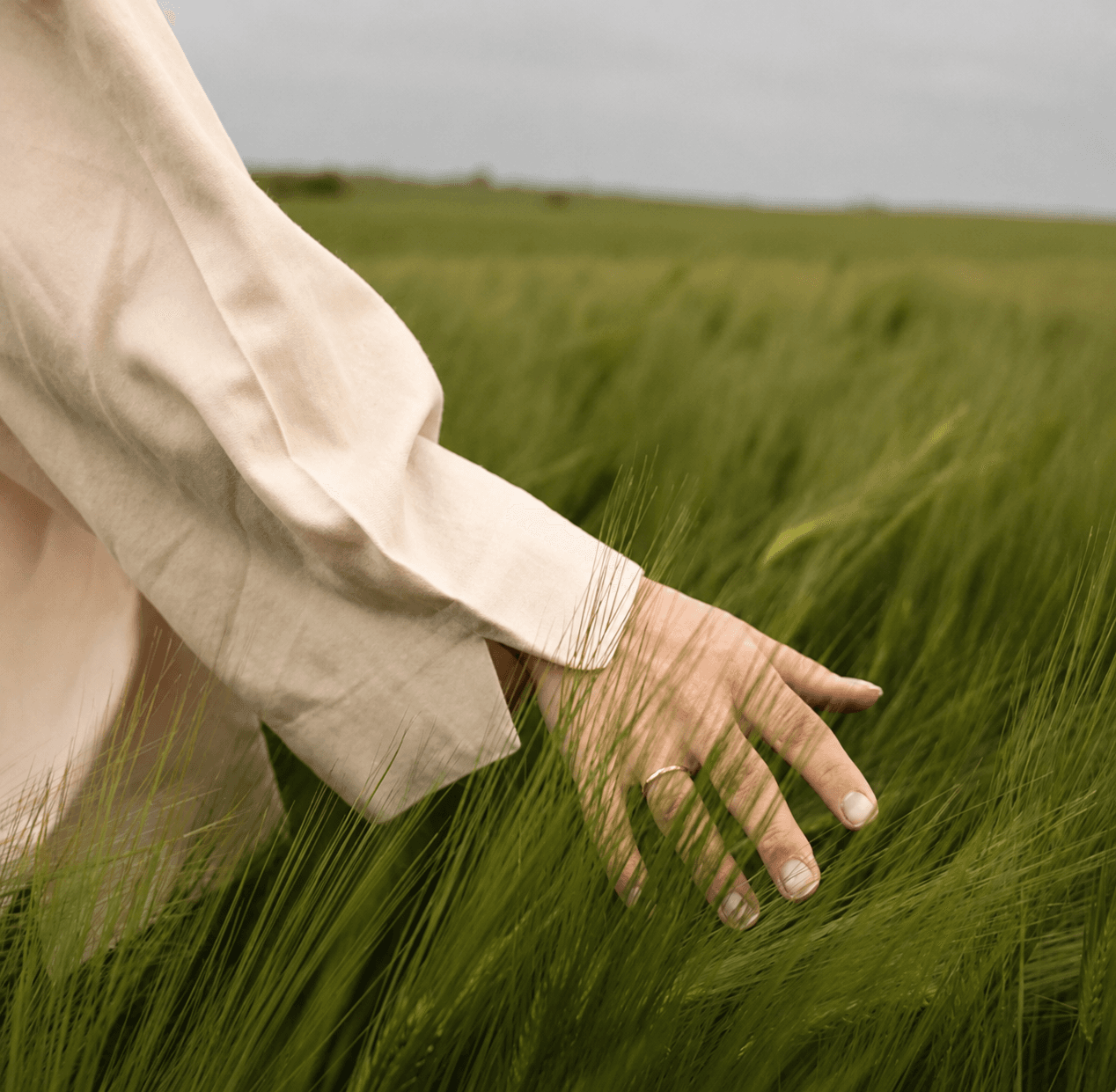 Mano rozando un campo de trigo